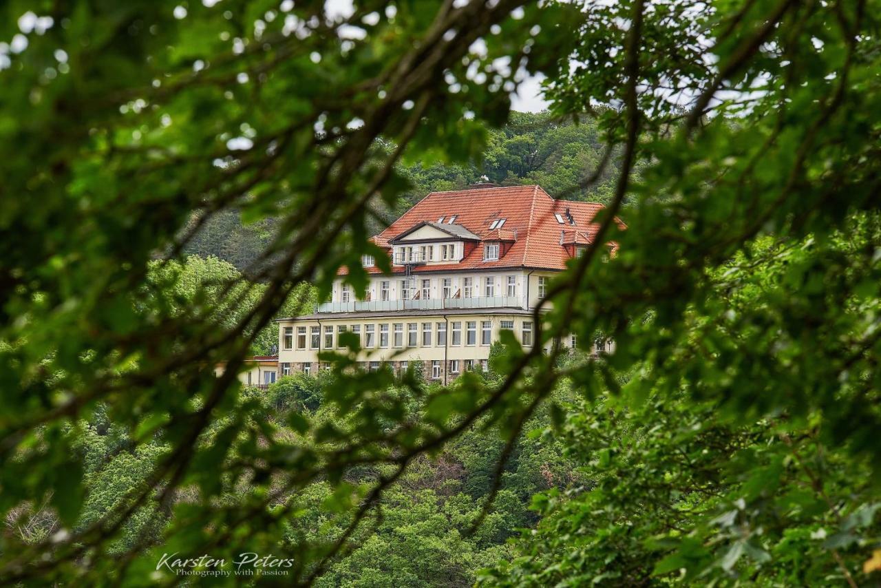 Hotel Stubenberg Gernrode  Eksteriør billede